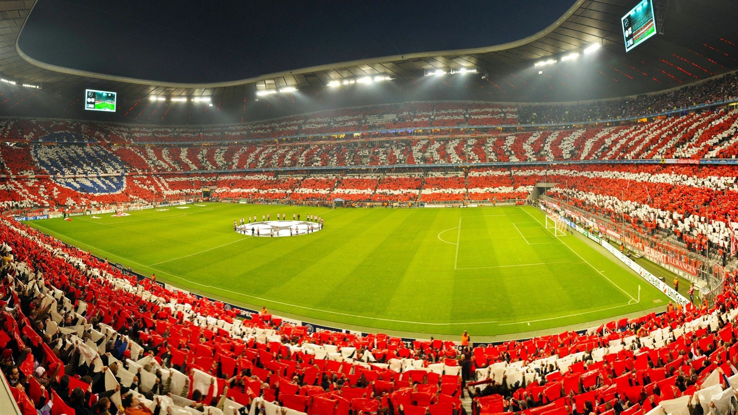 公牛队奋勇追赶,未来可期,公牛队消息